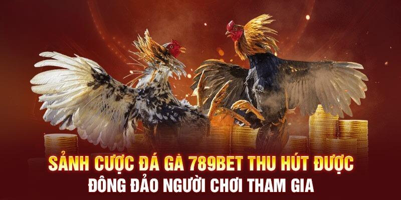 Kê thủ chỉ cần chọn 1 trong 3 cửa cược